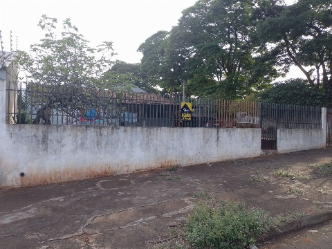 CASAS, Rua Pintagol
