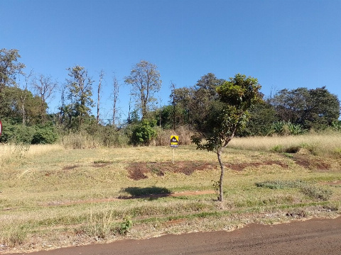 TERRENOS, Rua Tranquilo Morgon