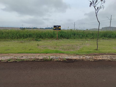 TERRENOS, Rua Pedro Pereira Moço