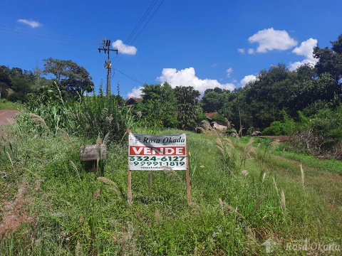 TERRENOS, Rua Visconde de Guarapuava
