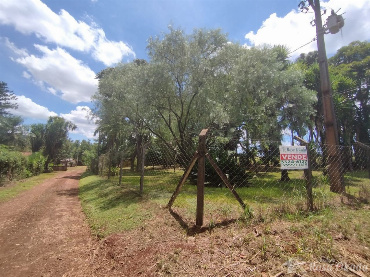 Terreno para Venda em Londrina - PR, Gleba Patrimonio Regina