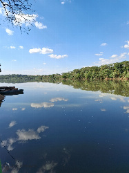 TERRENOS, Rodovia Pr 317 Km 133