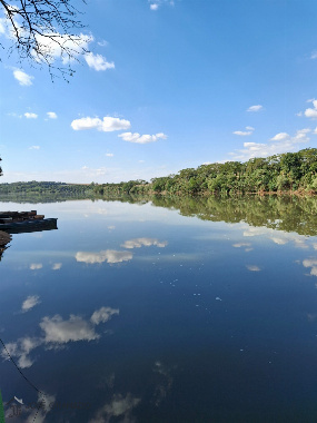 TERRENOS, Rodovia Pr 317 Km 133