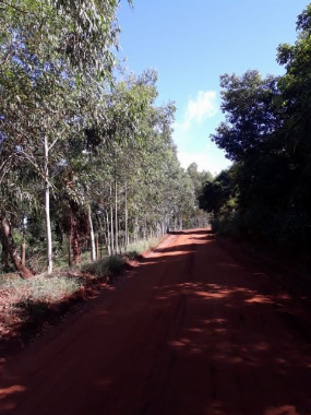 SÍTIOS, Sitio Em Laguna Carapã