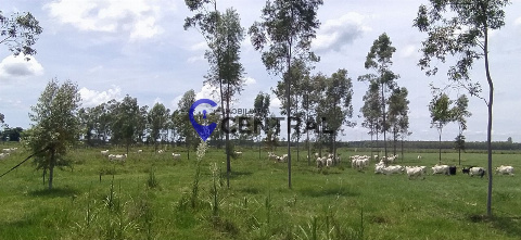 SÍTIOS, Estrada Rural