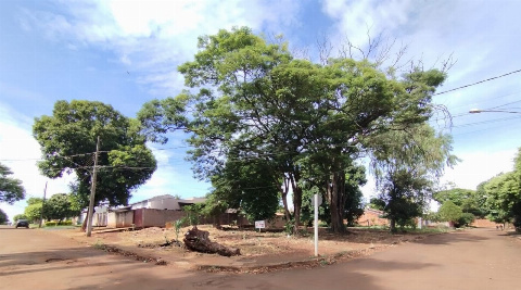 TERRENOS, Rua Alberto Maxwell