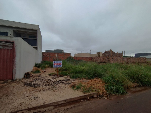 Terreno para Venda em Dourados - MS, Vival dos Ipês