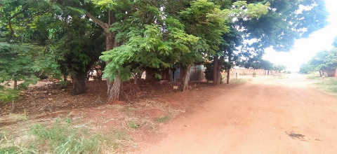 TERRENOS, Rua Melvin Jones