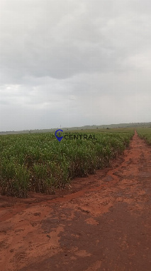 FAZENDAS, Estrada Ubiratã Jaborandi
