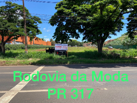 TERRENOS, Rodovia Pr317