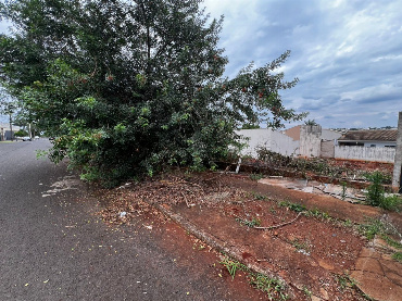 TERRENOS, Rua Esmeralda