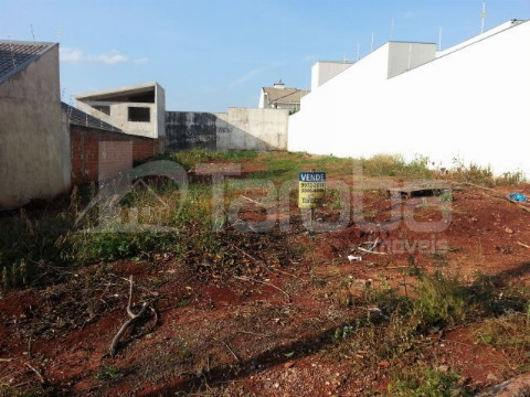 TERRENOS, Rua Salgueiro