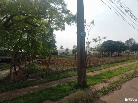 TERRENOS, Rua Pioneira Maria Cavalcante Ruy