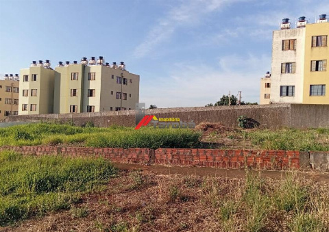 TERRENOS, Avenida Pintassilgo