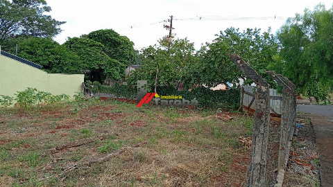 TERRENOS, Rua Pioneiro Ismael Miles