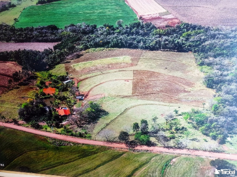 Sítio para Venda em Maringá - PR, Gleba Ribeirao Morangueiro