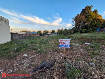 TERRENOS, Rua Canela
