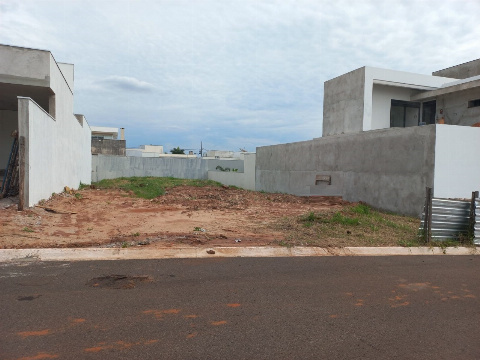 TERRENOS, Rua Guerino Pomin