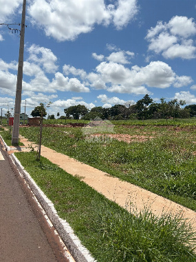 Terreno para Venda em Paranavaí - PR, Vl City