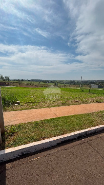 Terreno Comercial para Venda em Paranavaí - PR, Vl City