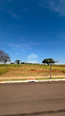 Terreno Comercial para Venda em Paranavaí - PR, Vl City