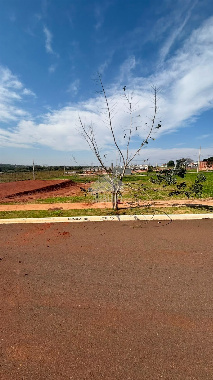 TERRENOS, Rua Rio Grande do Sul