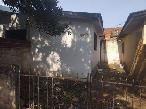 CASAS, Rua das Avencas