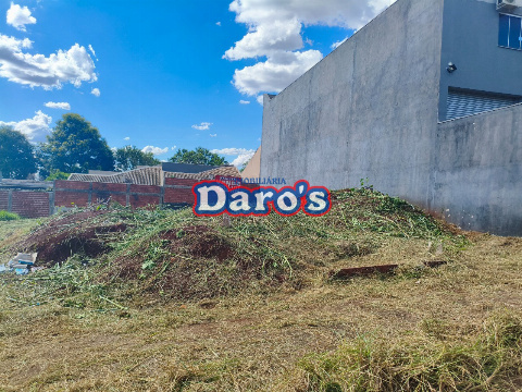 TERRENOS, Avenida Alcebíades de Paula Neto