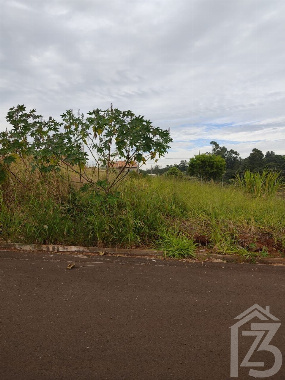 TERRENOS, Rua José Maculan