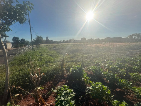 TERRENOS, Avenida Brasil