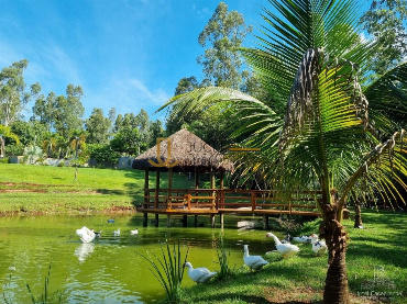 SÍTIOS, Estrada Vitorete