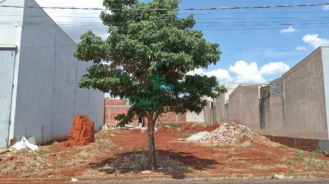 TERRENOS, Rua Antonia Lopes