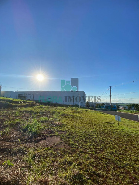 TERRENOS, Rua Maria Inêz Fernandes Saporetti