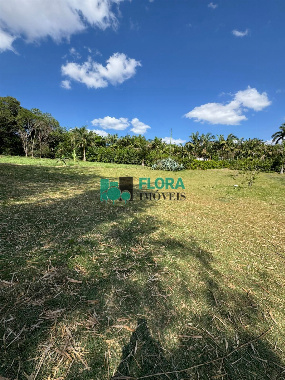 TERRENOS, Rodovia Pr317