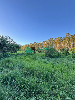 TERRENOS, Estrada Lopez