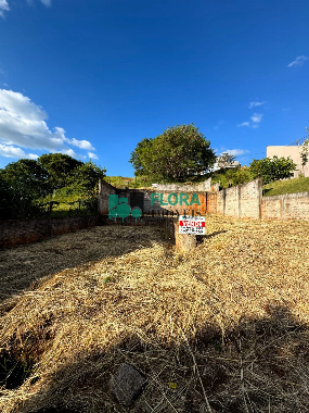 TERRENOS, Quadra 8