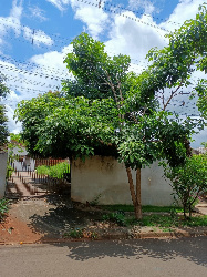 Terreno para Venda em Maringá - PR, Pq Tarumã
