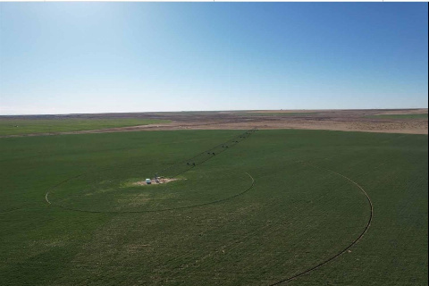 Fazenda para Venda em Matrinchã - GO, Campo Martelo