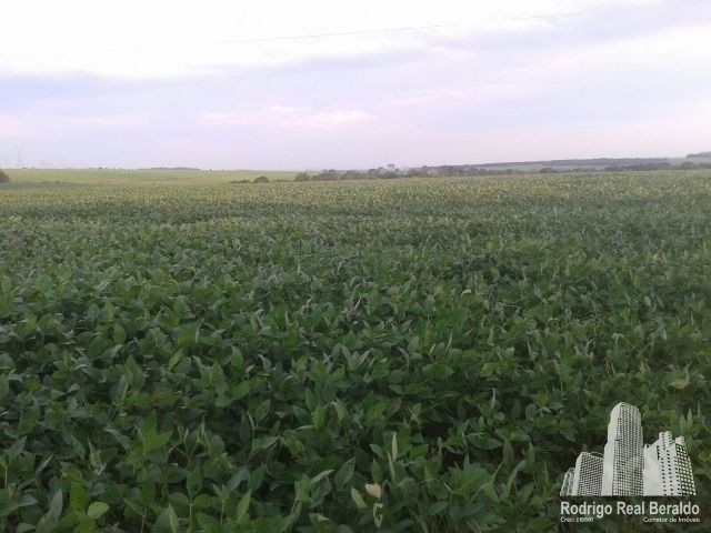 Fazenda para Venda em Jaciara - MT, Peixe Grande