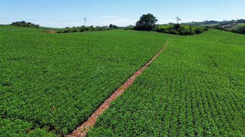 Fazenda para Venda em Barbosa Ferraz - PR, Área Rural