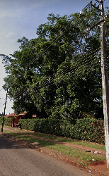 NEGÓCIOS, Avenida José Alves Nendo