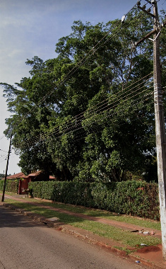 NEGÓCIOS, Avenida José Alves Nendo