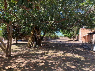 TERRENOS, Rua dos Cristais