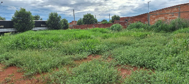TERRENOS, Rua Projetada 17