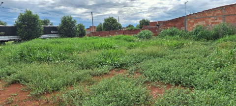 Terreno para Venda em Sinop - MT, Loteamento Cidade Alta